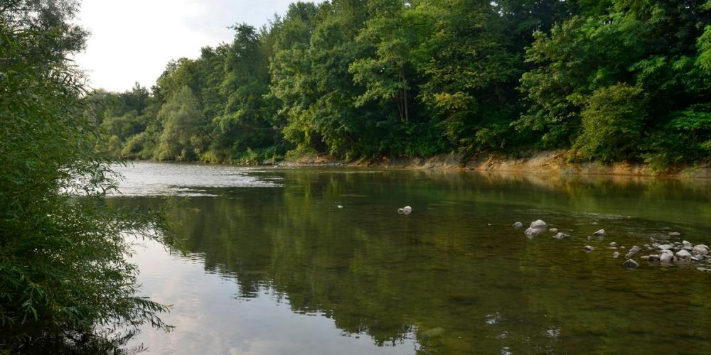 “Ko reko enkrat ubiješ, ni več poti nazaj”
