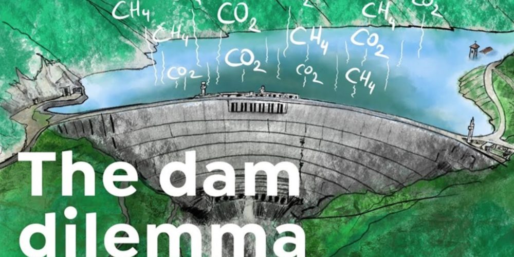 Video: Cena zajezovanja naših rek