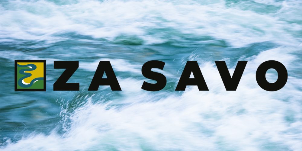 Začetek delovanja skupine Za Savo