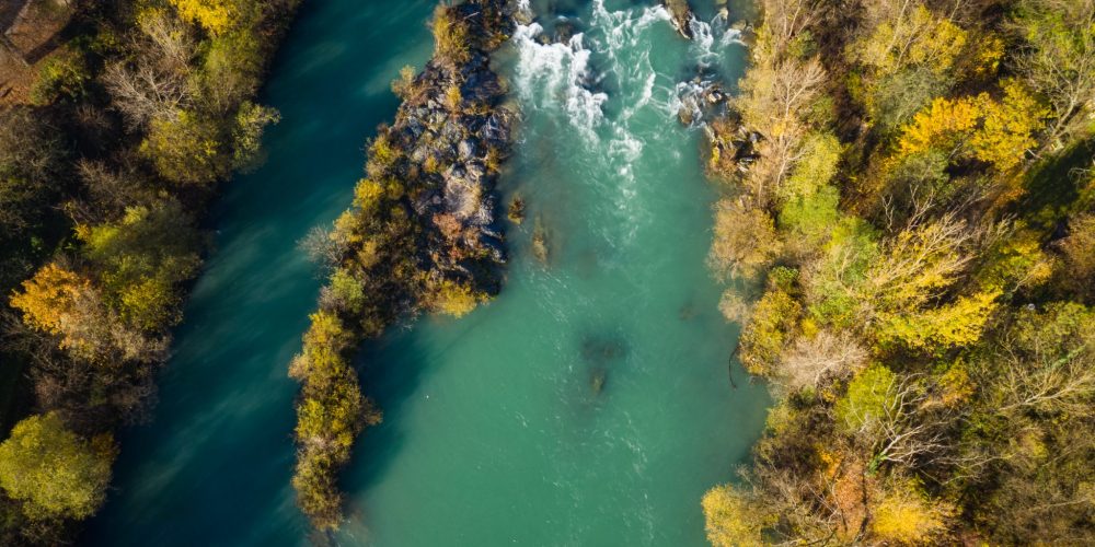 Poziv za ohranitev reke Save brez (novih) HE